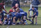 © David Crutchley  <em>Come on Ribb!!</em>