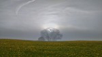 © Elaine Ward  <em>Once upon a time</em>