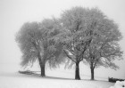 © Harry Pinkerton  <em>Winter in Ingleton</em>