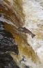 © Harry Pinkerton  <em>Stainforth Falls</em>