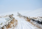 © Jeanette Davidson  <em>Winter track</em>