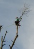 © Jeanette Davidson  <em>out on a limb</em>