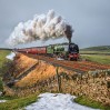 © John Cooper-Smith  <em>the Duchess in winter</em>