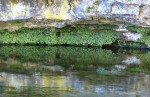 © Margaret Spencer  <em>Reflections, Malham Cove</em>