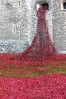© Stuart Jackson  <em>Blood Swept Lands Seas of Red</em>