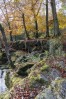 © Stuart Jackson  <em>Autumn Strid Woods</em>