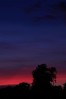 © Elaine Ward  <em>Red sky</em>