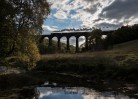© John Cooper-Smith  <em>the colours of nature at Smardale</em>