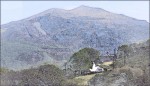 © Chris Yates  <em>after Cezanne</em>