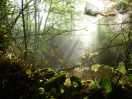 © Elaine Ward  <em>God's in his heaven</em>