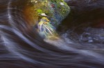 © John Lockwood  <em>Roseburndale</em>