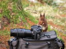 © Andy Best  <em>SPG New Member!</em>