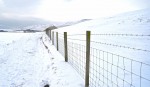 © Chris Chandler  <em>Snowy Ribblehead</em>