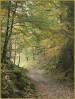 © Gill Pinkerton  <em>Autumnal Peace</em>