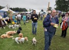 © John Bentley  <em>Gargrave Show 2015</em>