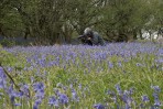 © Sarah France  <em>Capturing a Moment in Time</em>