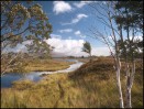 © Harry Pinkerton  <em>Rannoch Moor</em>