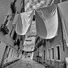 © John Lockwood  <em>Wash day in Venice</em>