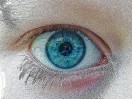 © Chris Chandler  <em>In the eye of the beholder</em>
