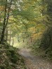 © Gill Pinkerton  <em>Autumn Tranquillity, Chapel-le-Dale</em>