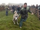 © John Bentley  <em>Tan Hill Open Swaledale Sheep Show, 2016</em>