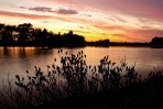 © Malcolm Walker  <em>Hatchet Pond (New Forest)</em>