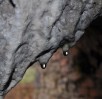 © Chris Yates  <em>soon be stalagmites</em>