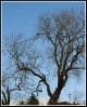 © Rod Smith  <em>Two's Company</em>