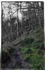 © Chris Chandler  <em>Hardcastle Crags</em>