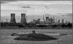 © Chris Chandler  <em>Saltholme Reserve, Middlesbrough</em>