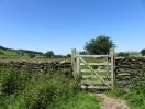 © Elaine Ward  <em>gate</em>