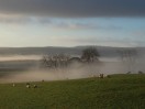 © Elaine Ward  <em>mist</em>