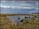 © Harry Pinkerton  <em>Small Tarn on Great Whernside</em>
