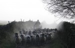 © Paul Underhill  <em>Head on</em>