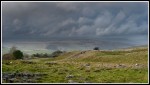 © Rod Smith  <em>It's going to rain</em>