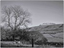 © Sue Haddrill  <em>Ingleboro'</em>