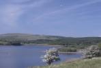 © Andy Best  <em>Stock Reservoir</em>