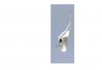 © David Crutchley  <em>fter spotting its prey....the Tern turned</em>