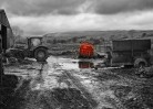 © Gill Pinkerton  <em>Typical Day in Wensleydale?</em>