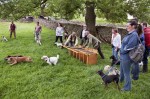 © John Bentley  <em>Appletreewick Terrier Racing</em>