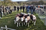 © John Bentley  <em>Walna Scar Shepherds Meet</em>