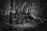 © Margaret Smith  <em>Exempt from Publike Haunt</em>
