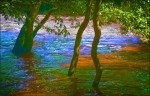 © Margaret Smith  <em>Summer Floods on the Ure</em>