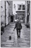 © Sue Haddrill  <em>Walkies</em>
