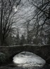 © Margaret Smith  <em>Clapham winter</em>