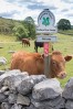 © Peter Robinson  <em>Welcome to Malham Tarn Estate</em>