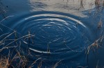 © Rod Smith  <em>Ripples</em>
