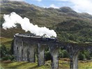 © Sue Best  <em>Jacobite Steam</em>