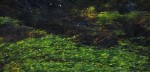 © Jeanette Davidson  <em>abstract</em>
