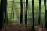 © Margaret Smith  <em>Down and Out</em>
